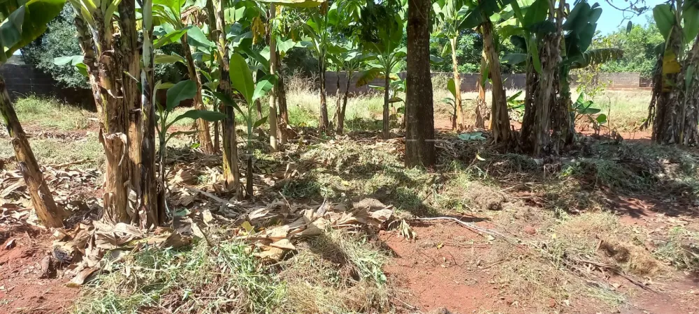 Comprar Rural / Ch&aacute;cara em Ribeir&atilde;o Preto R$ 1.100.000,00 - Foto 42