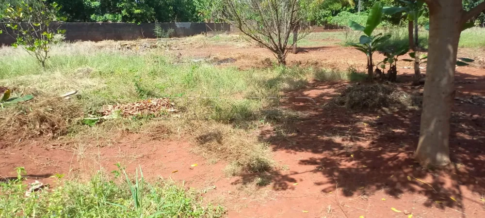 Comprar Rural / Ch&aacute;cara em Ribeir&atilde;o Preto R$ 1.100.000,00 - Foto 45