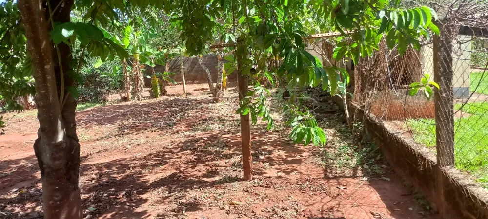 Comprar Rural / Ch&aacute;cara em Ribeir&atilde;o Preto R$ 1.100.000,00 - Foto 51