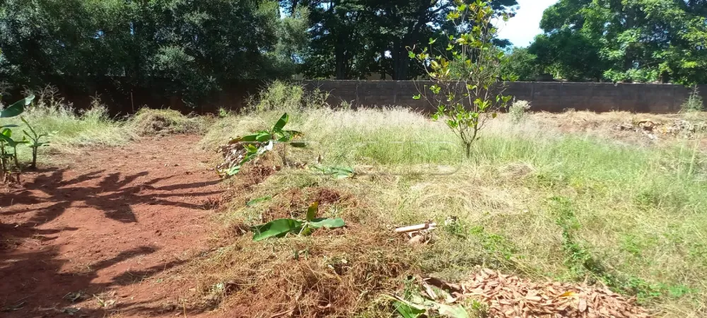 Comprar Rural / Ch&aacute;cara em Ribeir&atilde;o Preto R$ 1.100.000,00 - Foto 52