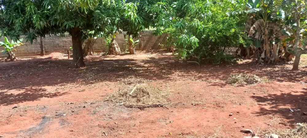 Comprar Rural / Ch&aacute;cara em Ribeir&atilde;o Preto R$ 1.100.000,00 - Foto 53