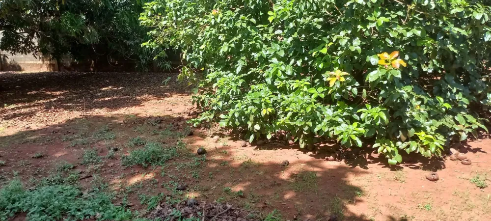 Comprar Rural / Ch&aacute;cara em Ribeir&atilde;o Preto R$ 1.100.000,00 - Foto 56