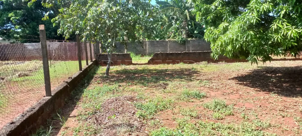 Comprar Rural / Ch&aacute;cara em Ribeir&atilde;o Preto R$ 1.100.000,00 - Foto 60