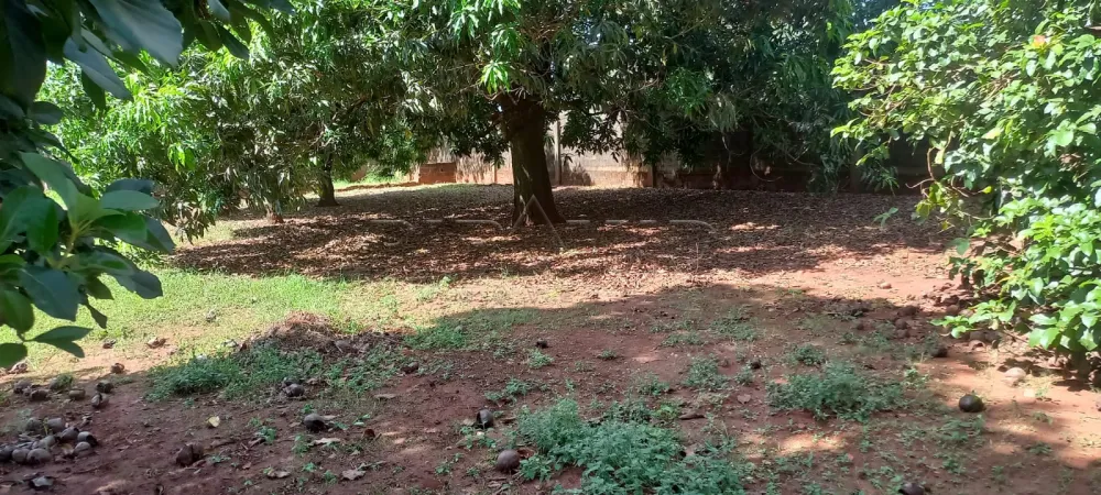 Comprar Rural / Ch&aacute;cara em Ribeir&atilde;o Preto R$ 1.100.000,00 - Foto 61