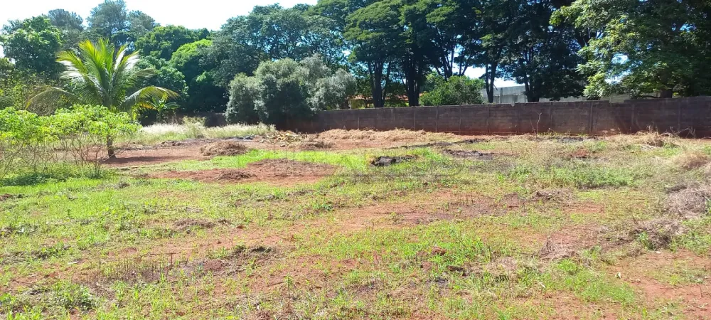 Comprar Rural / Ch&aacute;cara em Ribeir&atilde;o Preto R$ 1.100.000,00 - Foto 62