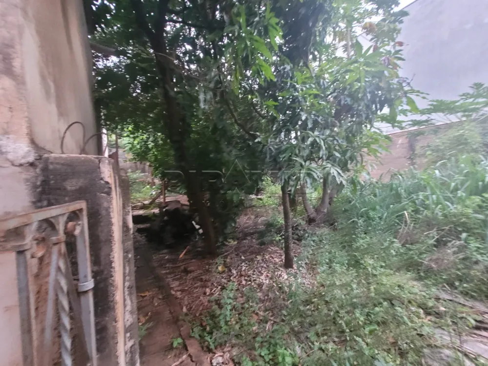 Comprar Casa / Padr&atilde;o em Ribeir&atilde;o Preto R$ 550.000,00 - Foto 22