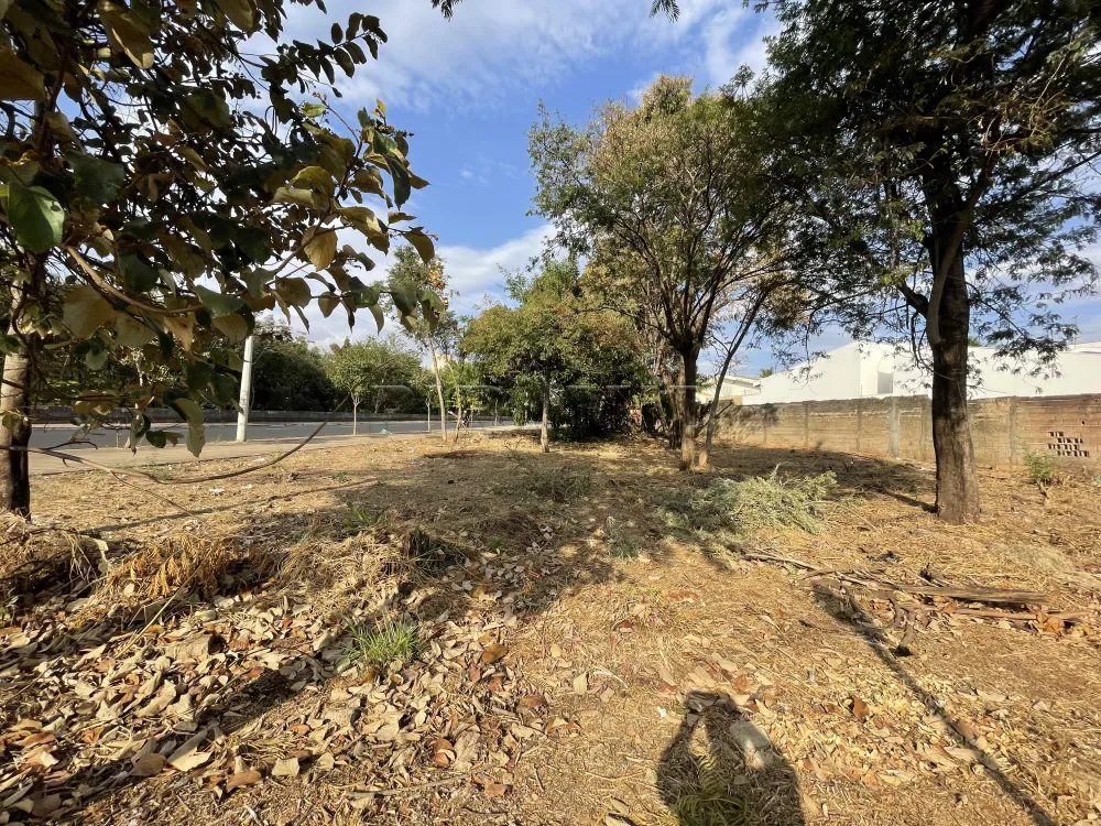 Alugar Terreno / Terreno em Ribeir&atilde;o Preto R$ 6.500,00 - Foto 5