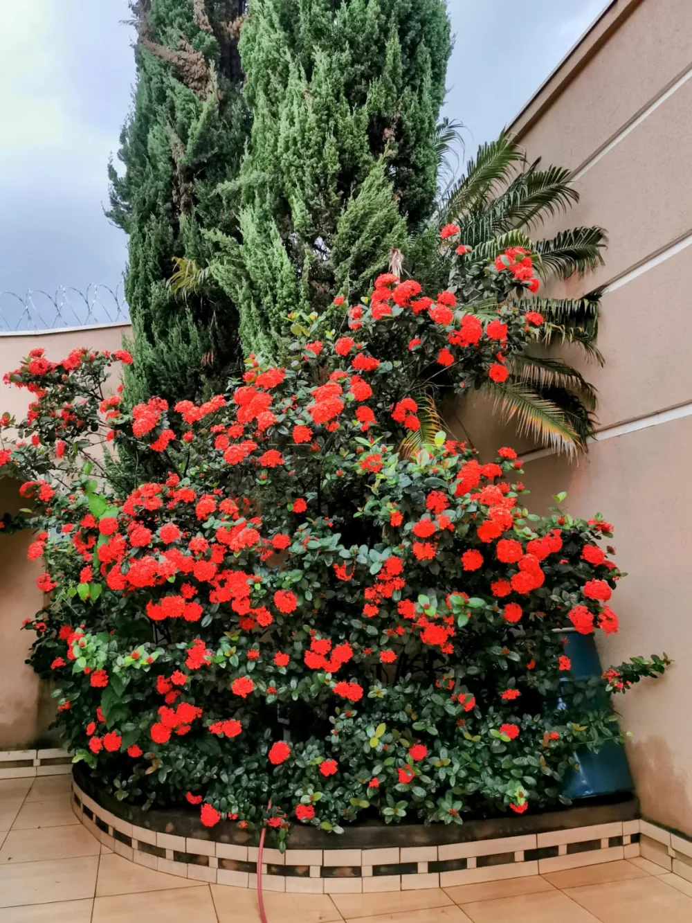 Comprar Casa / Padr&atilde;o em Ribeir&atilde;o Preto R$ 1.100.000,00 - Foto 21