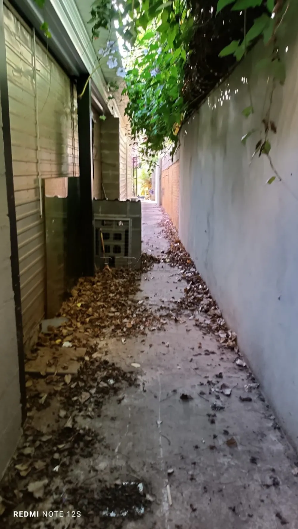 Alugar Comercial / Sal&atilde;o em Ribeir&atilde;o Preto R$ 7.000,00 - Foto 13