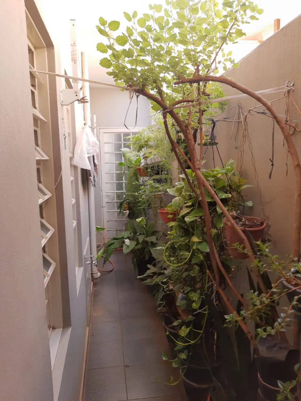 Comprar Casa / Padr&atilde;o em Ribeir&atilde;o Preto R$ 350.000,00 - Foto 18