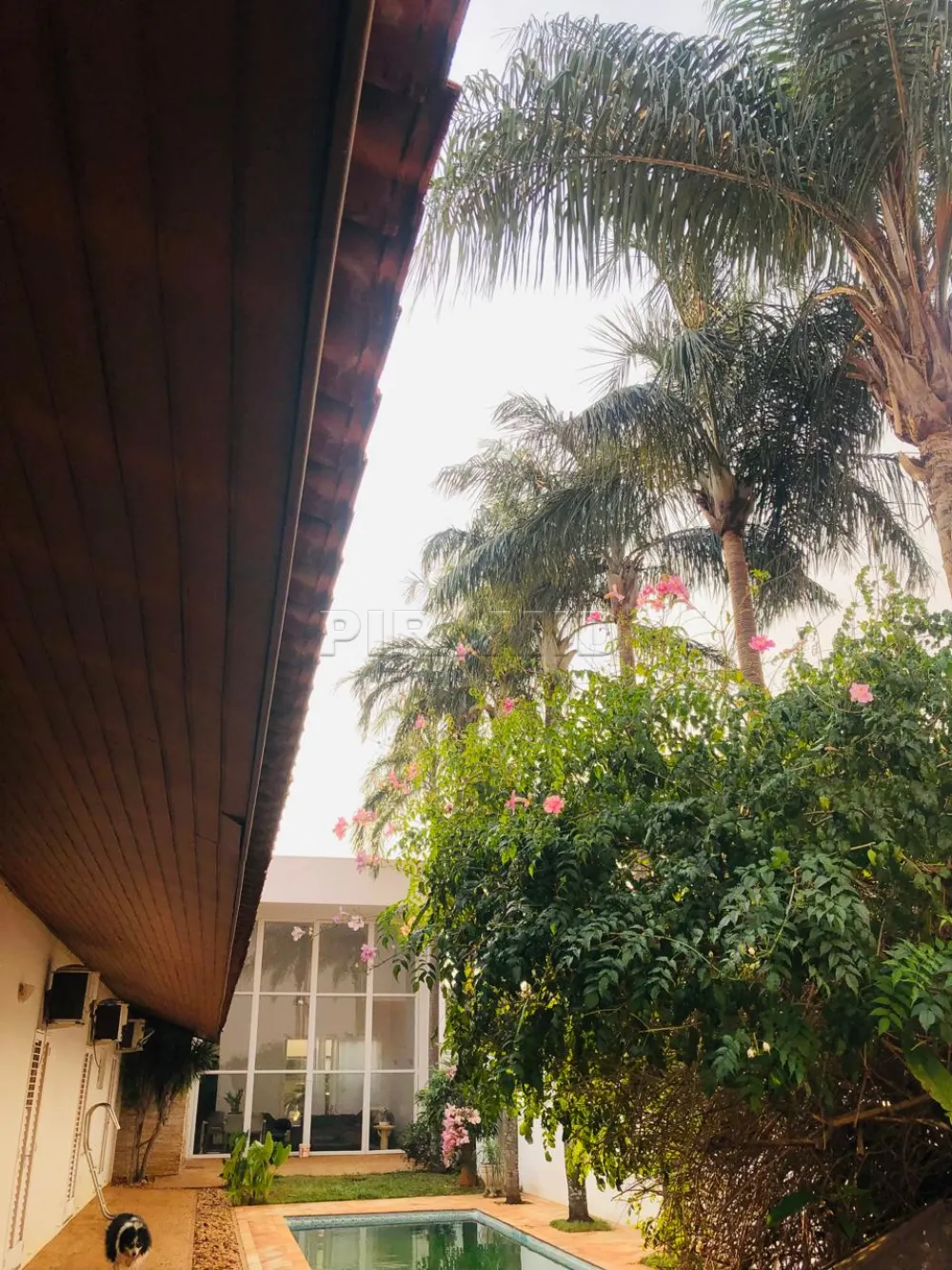 Comprar Casa / Padr&atilde;o em Jaboticabal R$ 1.500.000,00 - Foto 18