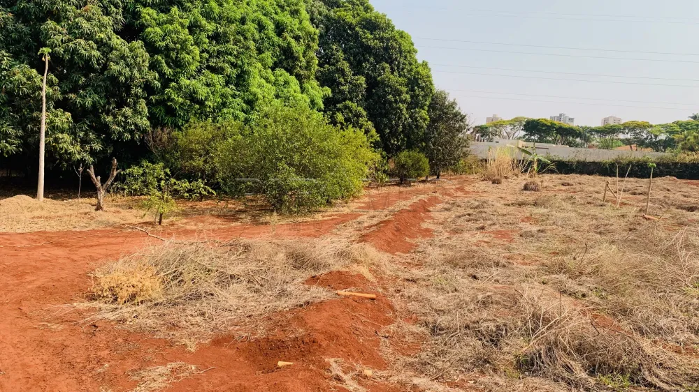 Comprar Terreno / Condom&iacute;nio em Bonfim Paulista R$ 3.375.000,00 - Foto 1