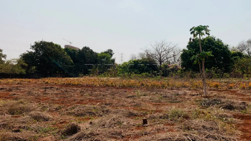 Comprar Terreno / Condom&iacute;nio em Bonfim Paulista R$ 5.250.000,00 - Foto 1