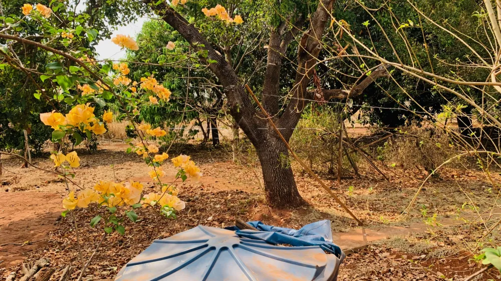 Comprar Terreno / Condom&iacute;nio em Bonfim Paulista R$ 5.250.000,00 - Foto 3