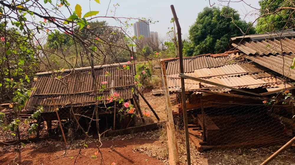 Comprar Terreno / Condom&iacute;nio em Bonfim Paulista R$ 5.250.000,00 - Foto 4