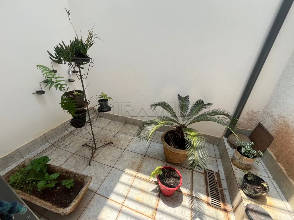 Comprar Casa / Padr&atilde;o em Ribeir&atilde;o Preto R$ 420.000,00 - Foto 13