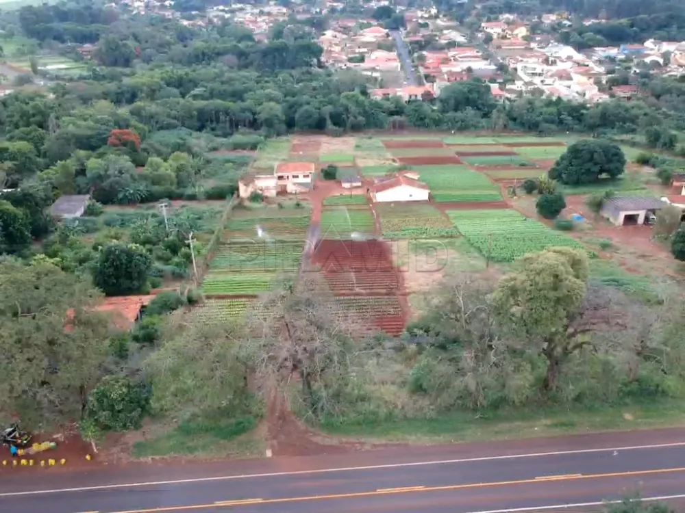 Comprar Terreno / &Aacute;rea em Ribeir&atilde;o Preto R$ 5.900.000,00 - Foto 1