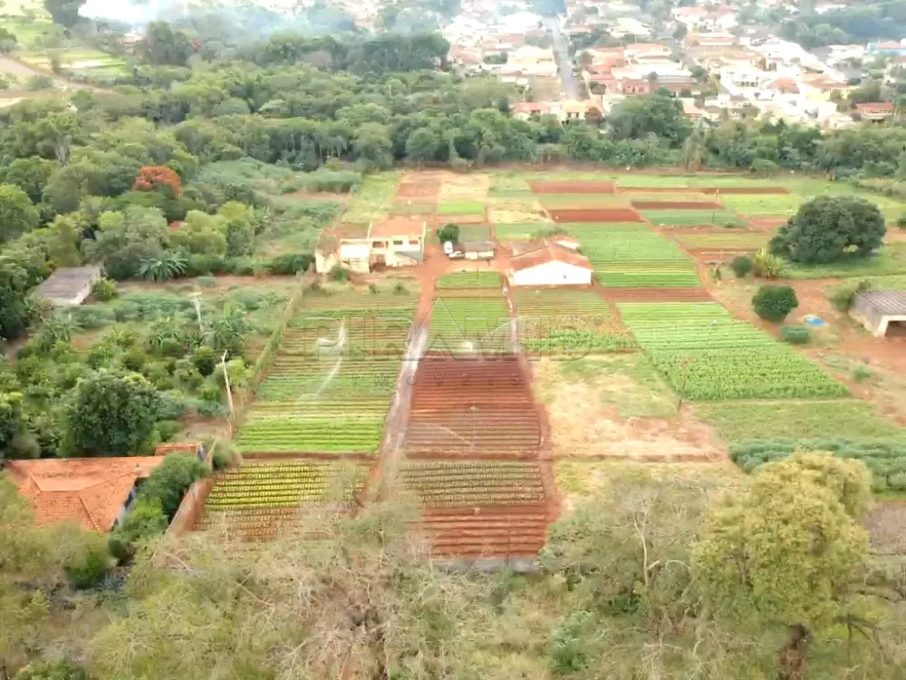 Comprar Terreno / &Aacute;rea em Ribeir&atilde;o Preto R$ 5.900.000,00 - Foto 5