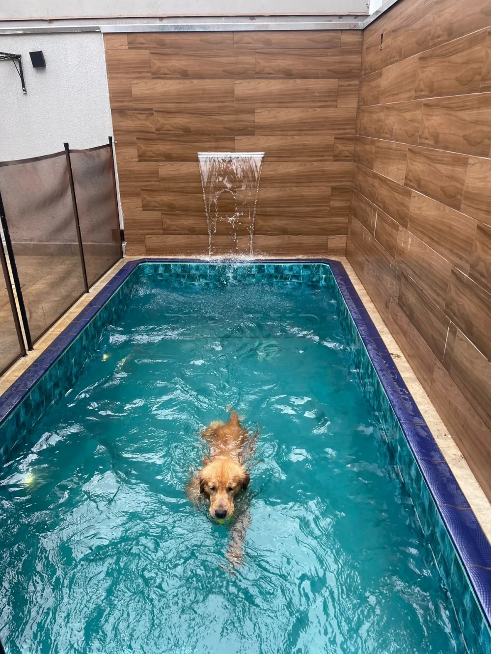 Comprar Casa / Padr&atilde;o em Ribeir&atilde;o Preto R$ 670.000,00 - Foto 21