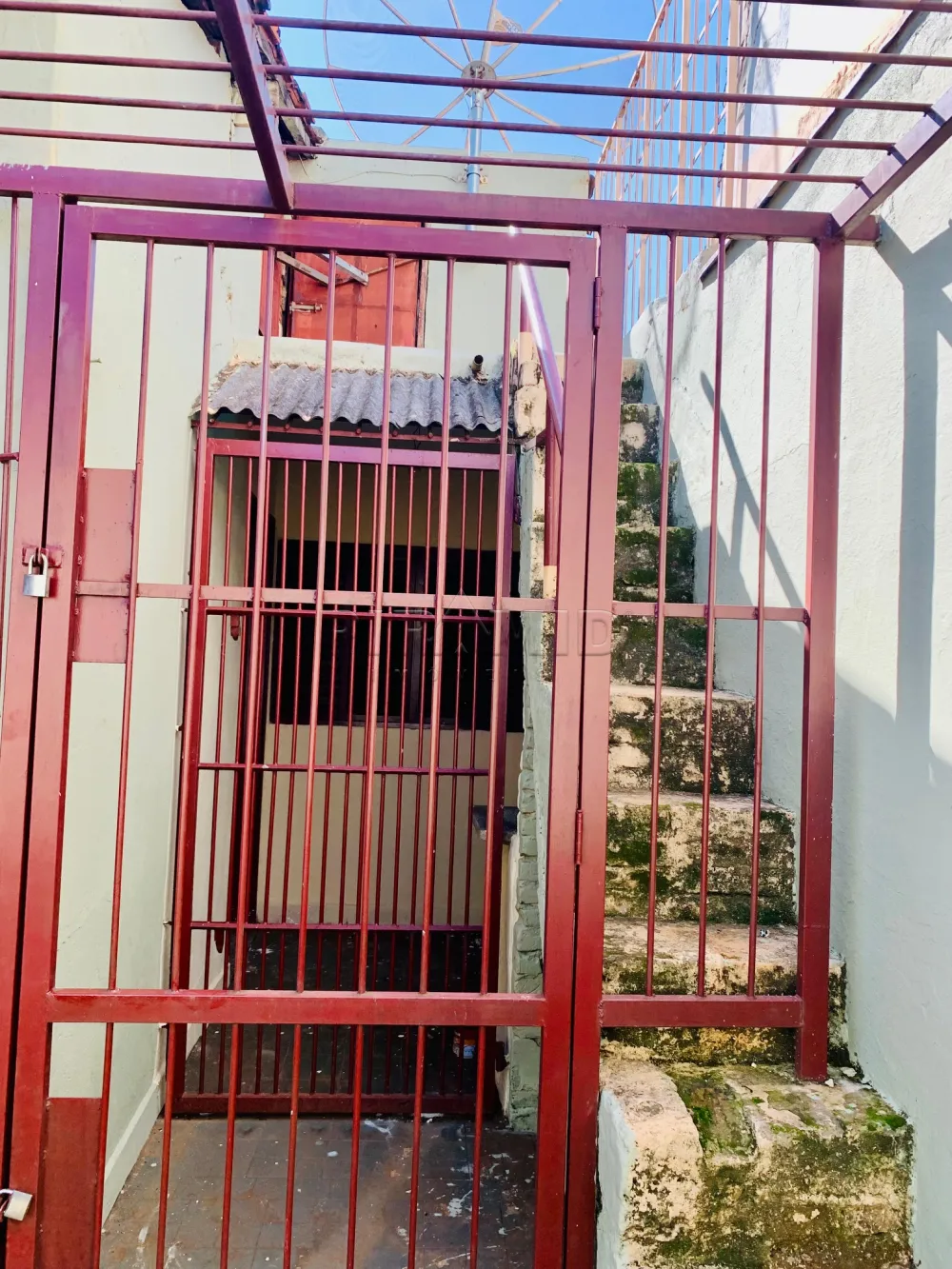 Alugar Casa / Padr&atilde;o em Ribeir&atilde;o Preto R$ 1.450,00 - Foto 14