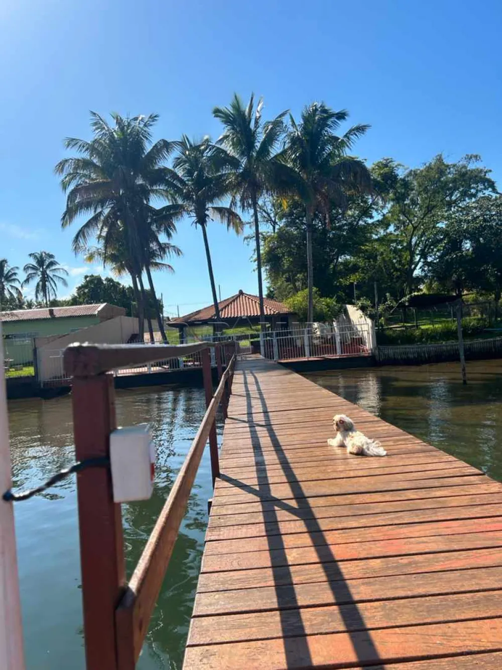 Comprar Rural / Rancho em Miguel&oacute;polis R$ 2.200.000,00 - Foto 26