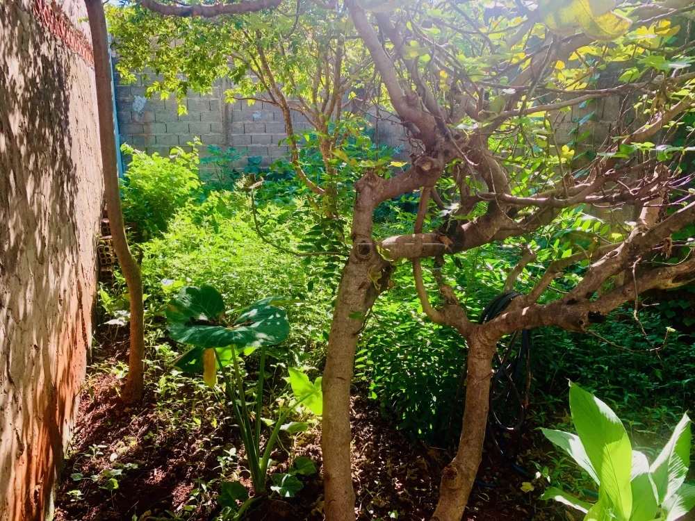 Alugar Casa / Padr&atilde;o em Ribeir&atilde;o Preto R$ 2.020,00 - Foto 29