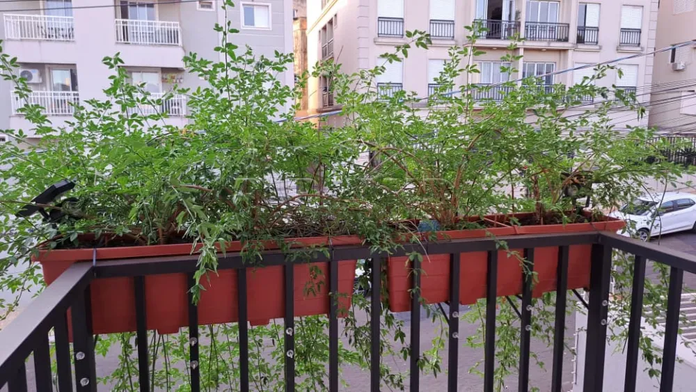 Comprar Apartamento / Padr&atilde;o em Ribeir&atilde;o Preto R$ 338.000,00 - Foto 4