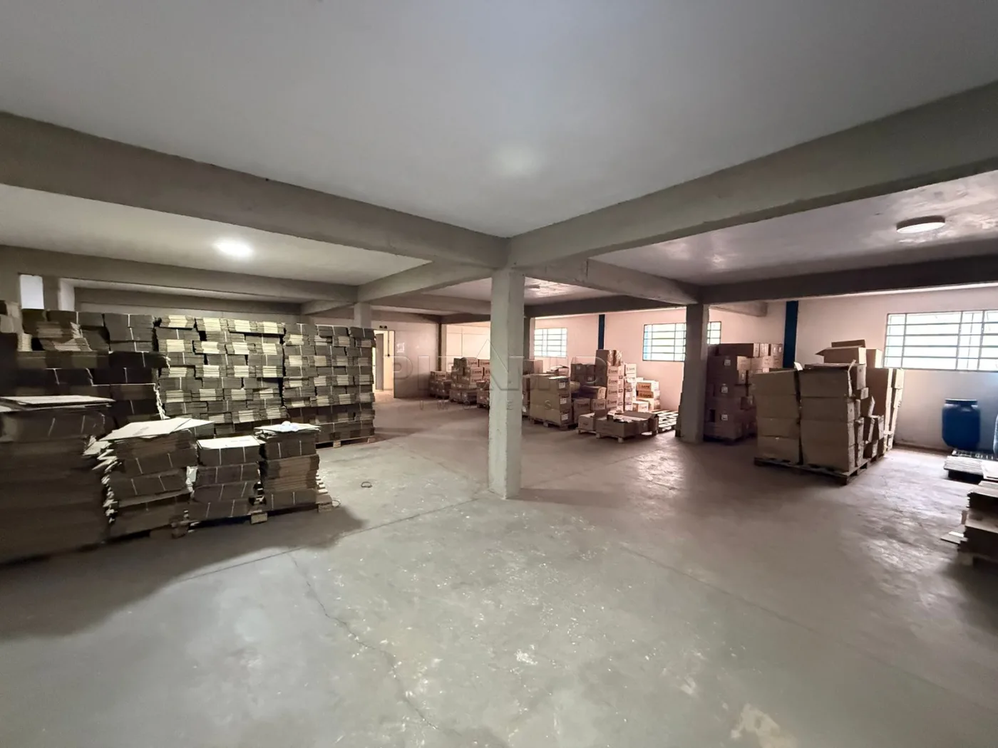 Alugar Comercial / Galp&atilde;o  Barrac&atilde;o em Ribeir&atilde;o Preto R$ 15.000,00 - Foto 3