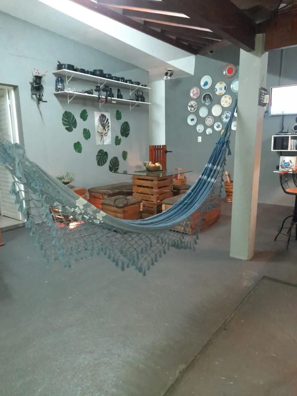 Alugar Casa / Padr&atilde;o em Ribeir&atilde;o Preto R$ 800,00 - Foto 3