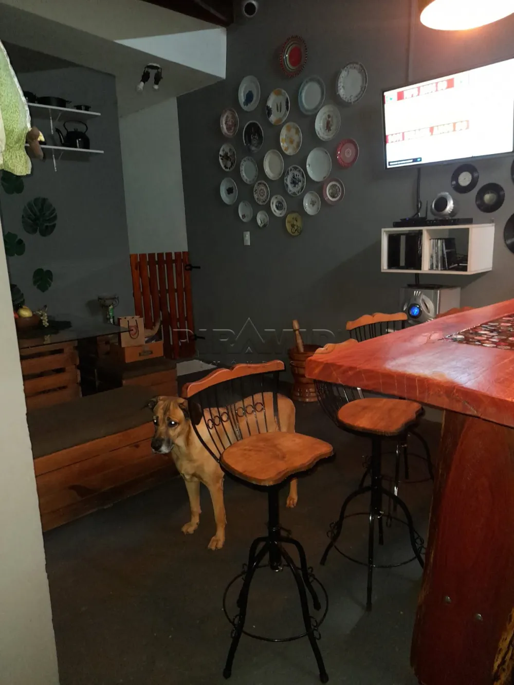 Alugar Casa / Padr&atilde;o em Ribeir&atilde;o Preto R$ 800,00 - Foto 28