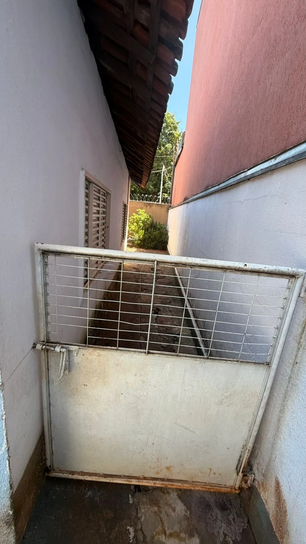 Alugar Casa / Padr&atilde;o em Ribeir&atilde;o Preto R$ 1.300,00 - Foto 9