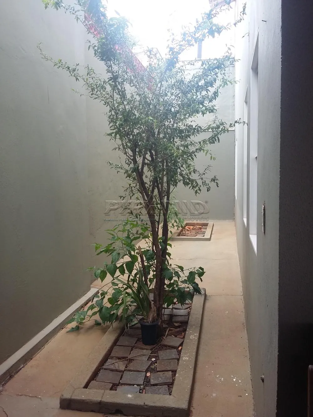 Alugar Casa / Padr&atilde;o em Ribeir&atilde;o Preto R$ 3.500,00 - Foto 15