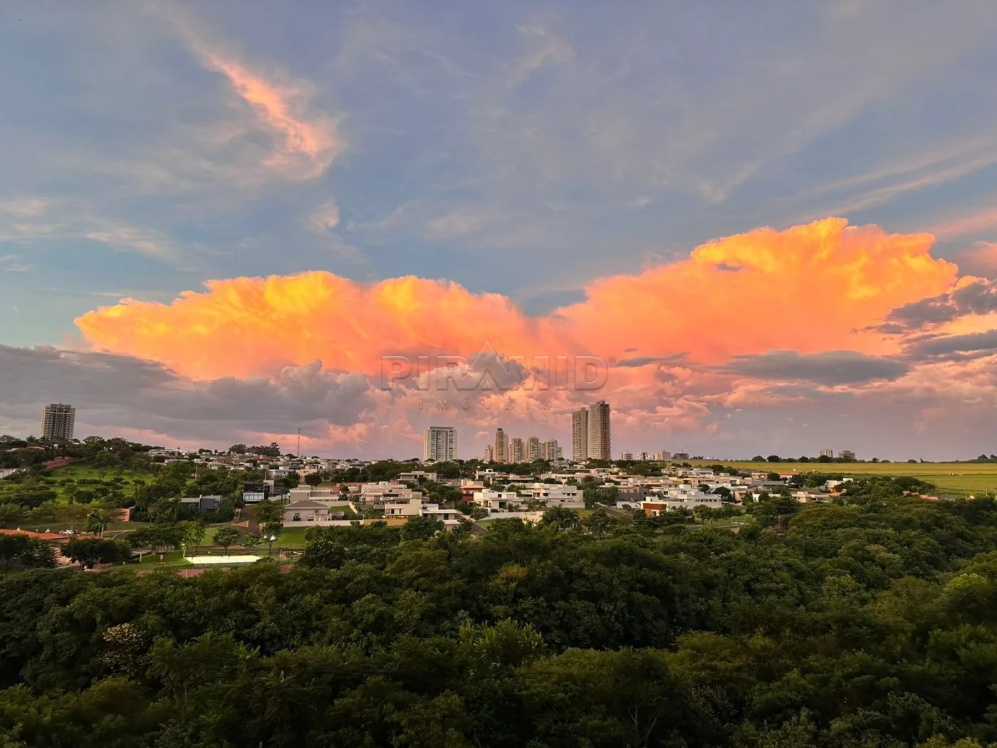 Alugar Apartamento / Padr&atilde;o em Ribeir&atilde;o Preto R$ 12.000,00 - Foto 5