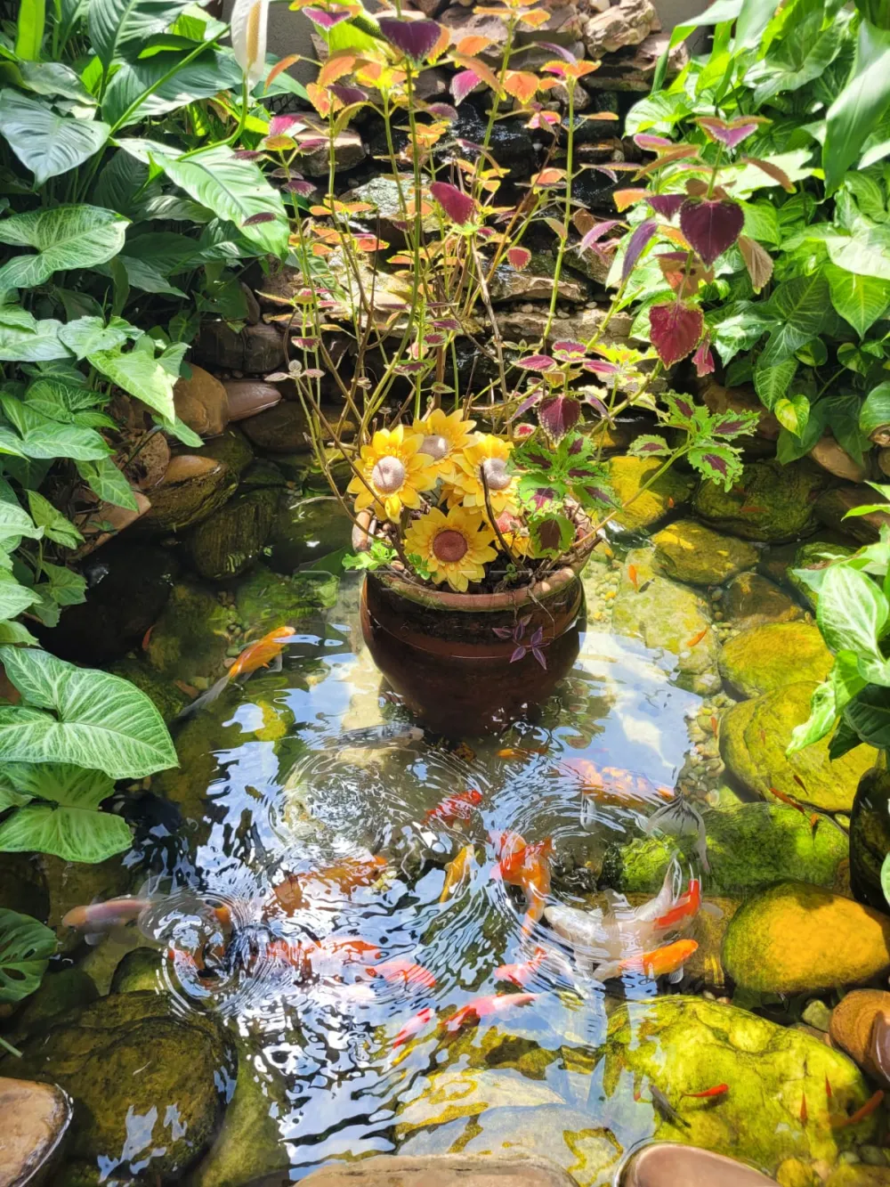 Alugar Casa / Padr&atilde;o em Ribeir&atilde;o Preto R$ 9.000,00 - Foto 35