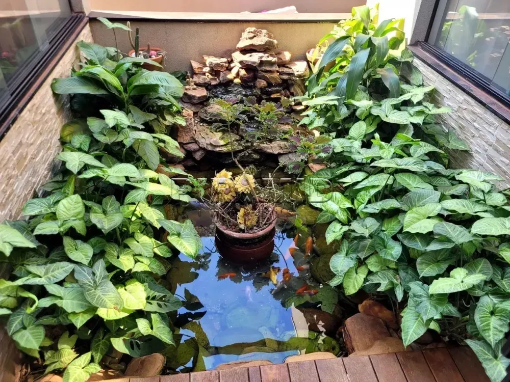 Alugar Casa / Padr&atilde;o em Ribeir&atilde;o Preto R$ 9.000,00 - Foto 36