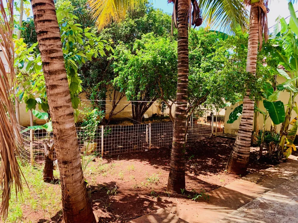 Alugar Comercial / Casa em Ribeir&atilde;o Preto R$ 13.000,00 - Foto 13