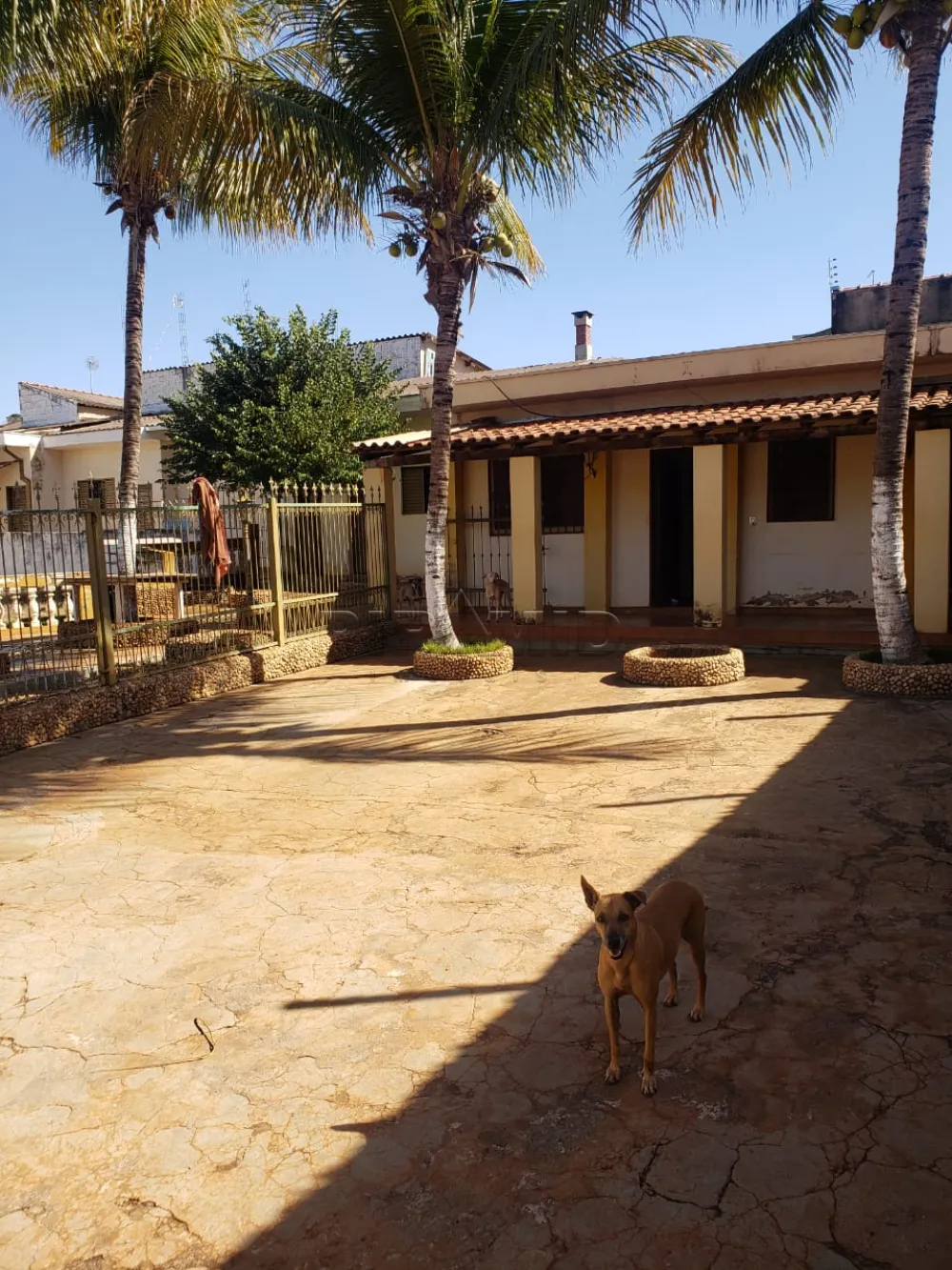 Comprar Terreno / Terreno em Ribeir&atilde;o Preto R$ 490.000,00 - Foto 8