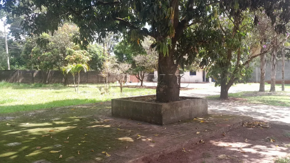 Alugar Rural / Ch&aacute;cara em Ribeir&atilde;o Preto R$ 5.000,00 - Foto 41