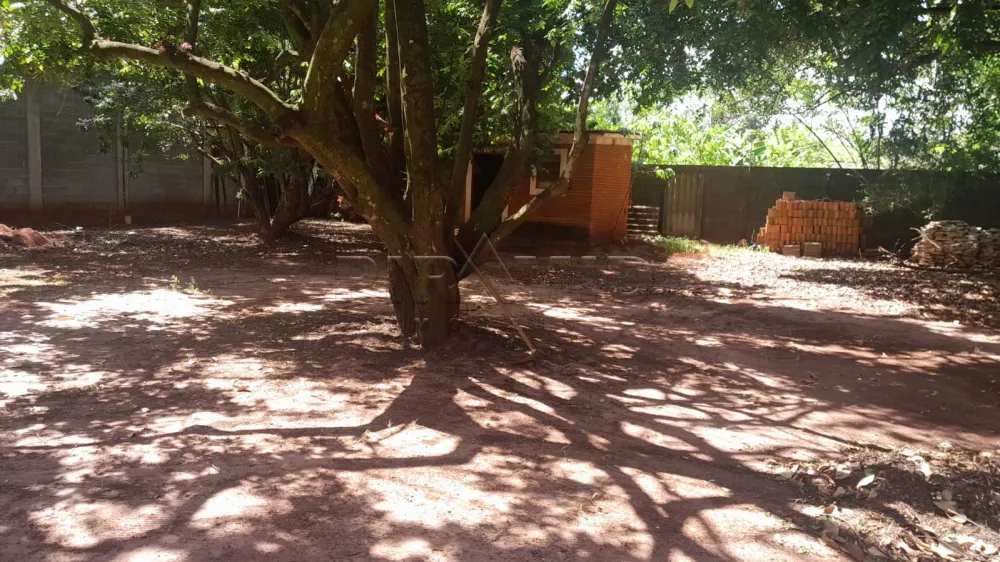 Alugar Rural / Ch&aacute;cara em Ribeir&atilde;o Preto R$ 5.000,00 - Foto 36