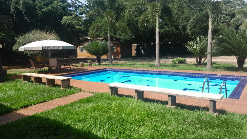 Alugar Rural / Ch&aacute;cara em Ribeir&atilde;o Preto R$ 5.000,00 - Foto 4