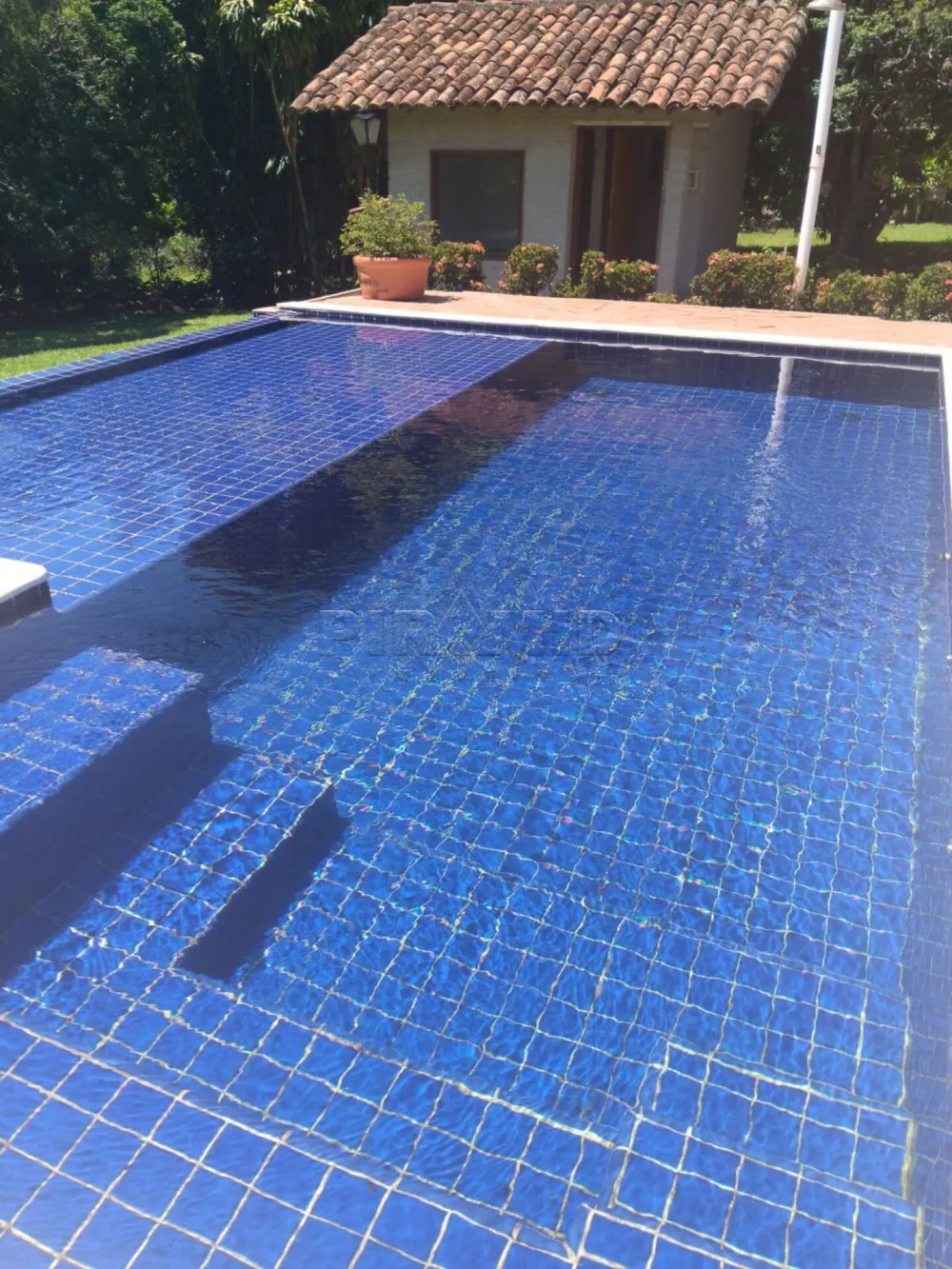 Comprar Rural / Fazenda em Jardin&oacute;polis R$ 14.900.000,00 - Foto 2