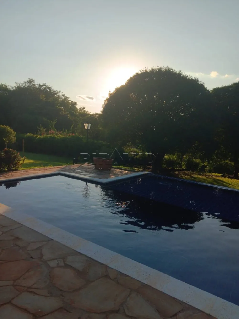 Comprar Rural / Fazenda em Jardin&oacute;polis R$ 14.900.000,00 - Foto 4