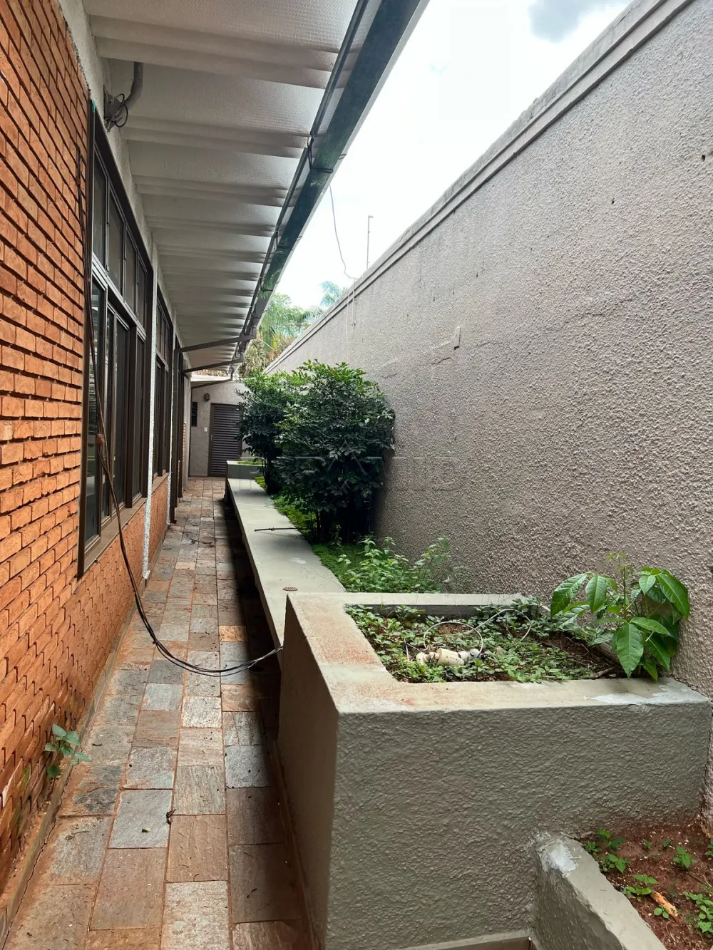 Alugar Comercial / Ponto Comercial em Ribeir&atilde;o Preto R$ 4.500,00 - Foto 14