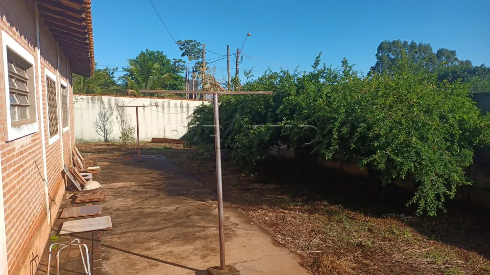 Alugar Rural / Ch&aacute;cara em Jardin&oacute;polis R$ 4.500,00 - Foto 11