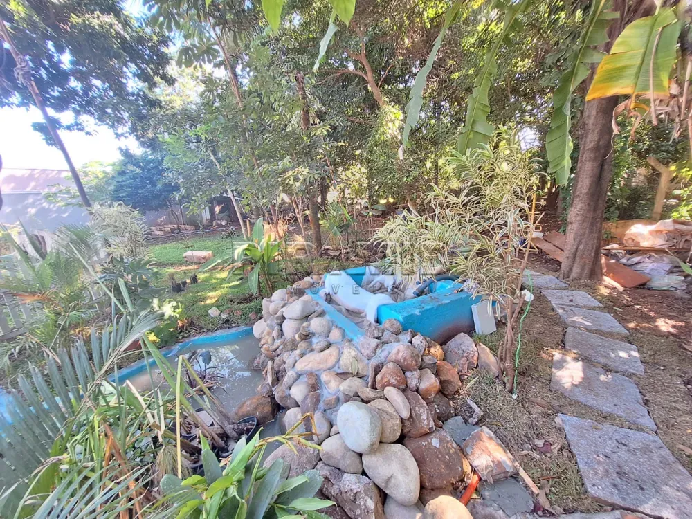 Alugar Casa / Padr&atilde;o em Ribeir&atilde;o Preto R$ 12.900,00 - Foto 15