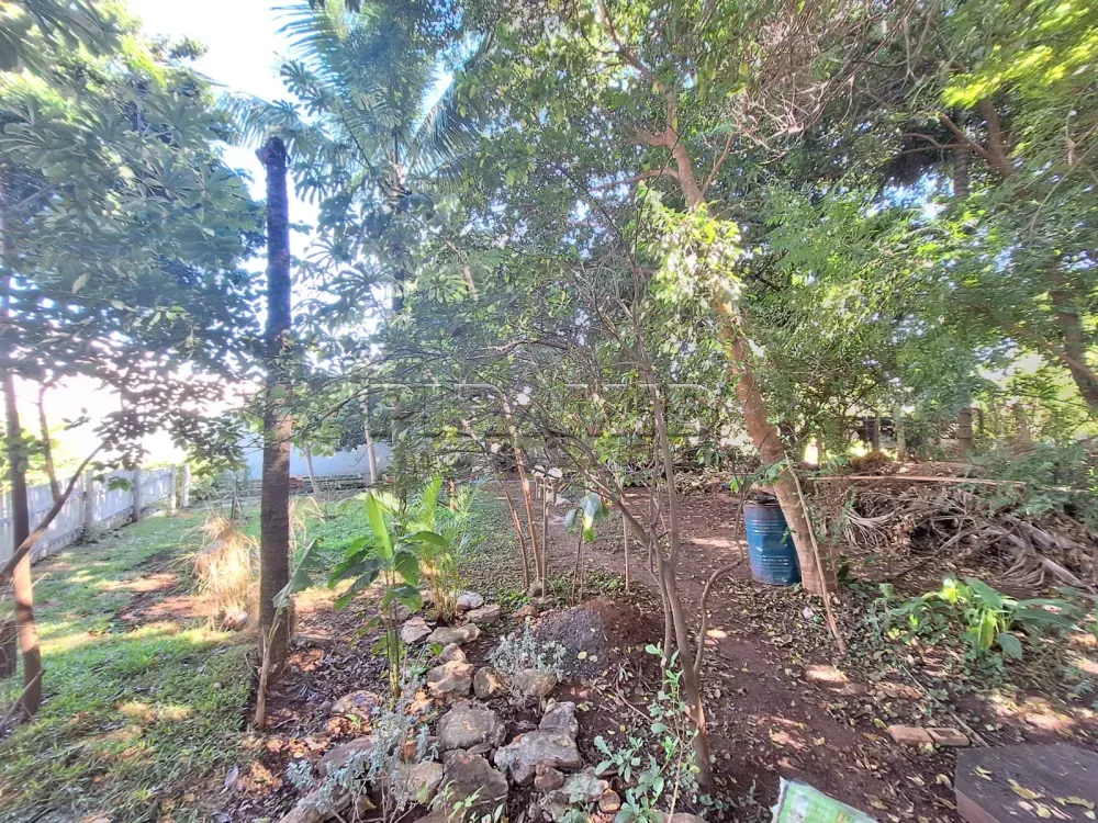Alugar Casa / Padr&atilde;o em Ribeir&atilde;o Preto R$ 12.900,00 - Foto 16