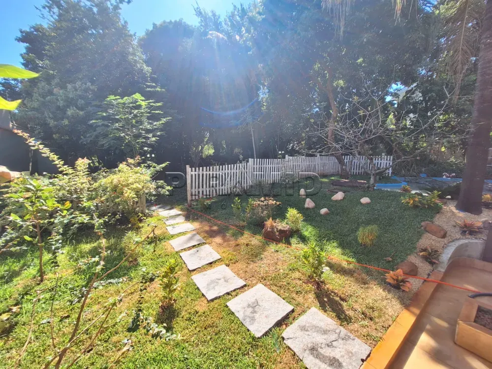 Alugar Casa / Padr&atilde;o em Ribeir&atilde;o Preto R$ 12.900,00 - Foto 82