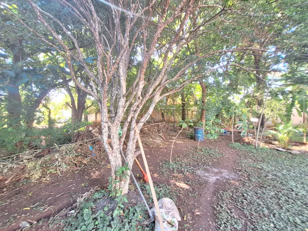 Alugar Casa / Padr&atilde;o em Ribeir&atilde;o Preto R$ 12.900,00 - Foto 83