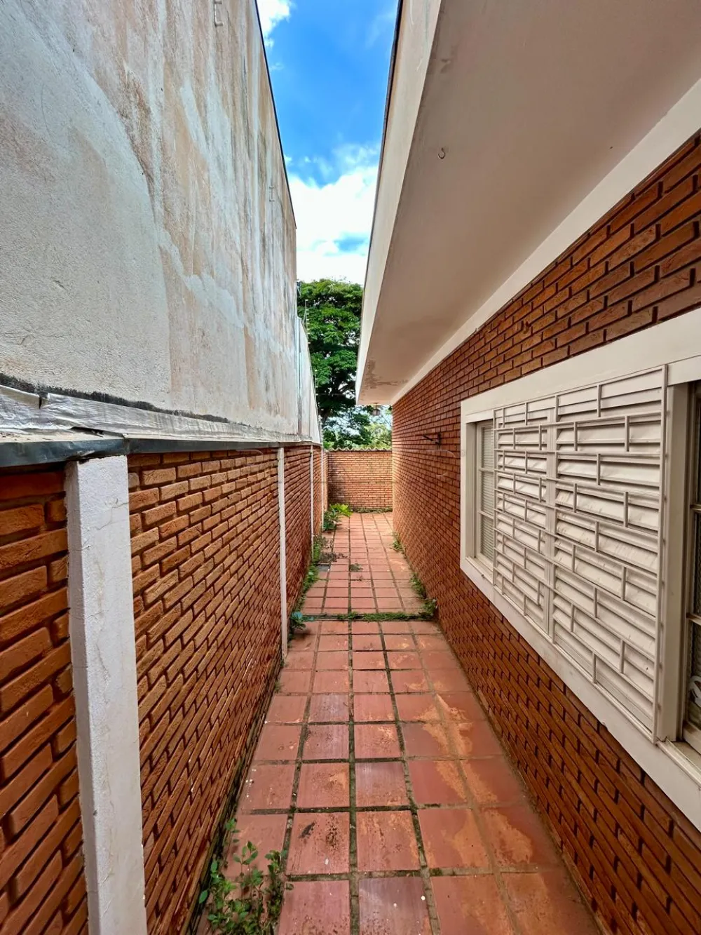 Alugar Casa / Padr&atilde;o em Ribeir&atilde;o Preto R$ 5.100,00 - Foto 31