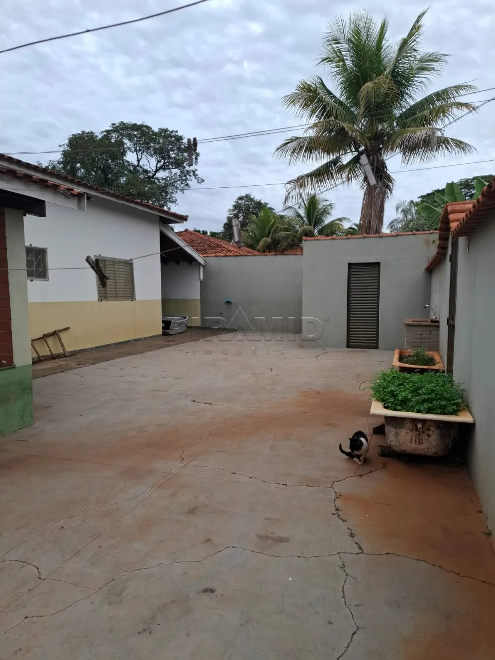 Comprar Rural / Ch&aacute;cara em Ribeir&atilde;o Preto R$ 650.000,00 - Foto 25